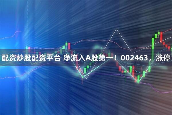 配资炒股配资平台 净流入A股第一！002463，涨停