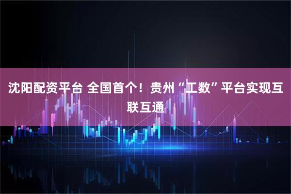 沈阳配资平台 全国首个！贵州“工数”平台实现互联互通