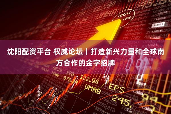 沈阳配资平台 权威论坛丨打造新兴力量和全球南方合作的金字招牌